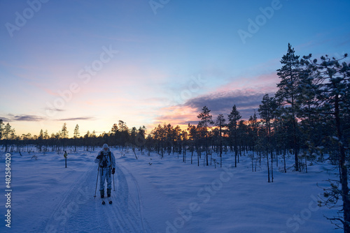 Hunting in Sweden. Winter hunt for capercaillie also called capercailzie or wood grouse. The hunter must move silently across the snow on skies and stop often a scout the land with binoculars. 