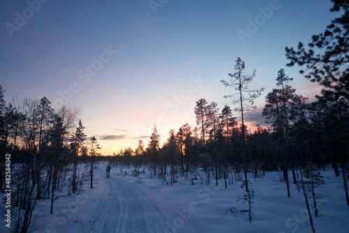 Sunset in the Swedish forest in the middle of winter. It is cold and snow but the cross country skiing is great.