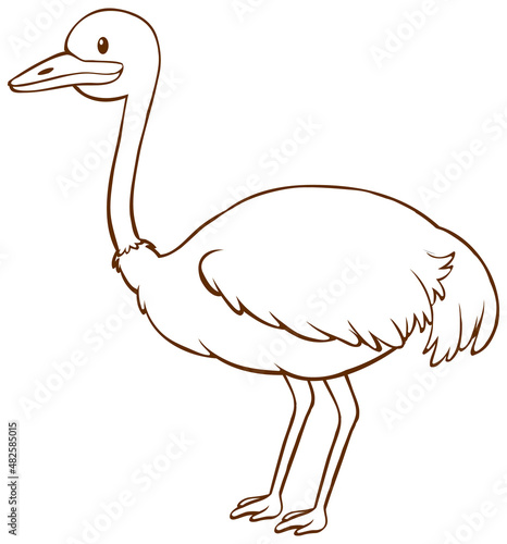 Ostrich in doodle simple style on white background photo