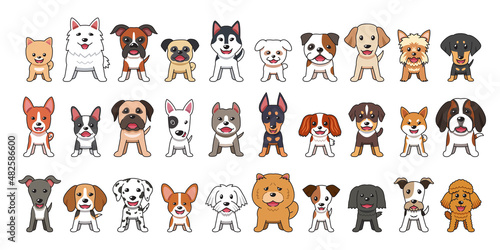 Different type of vector cartoon dogs on white background for design.