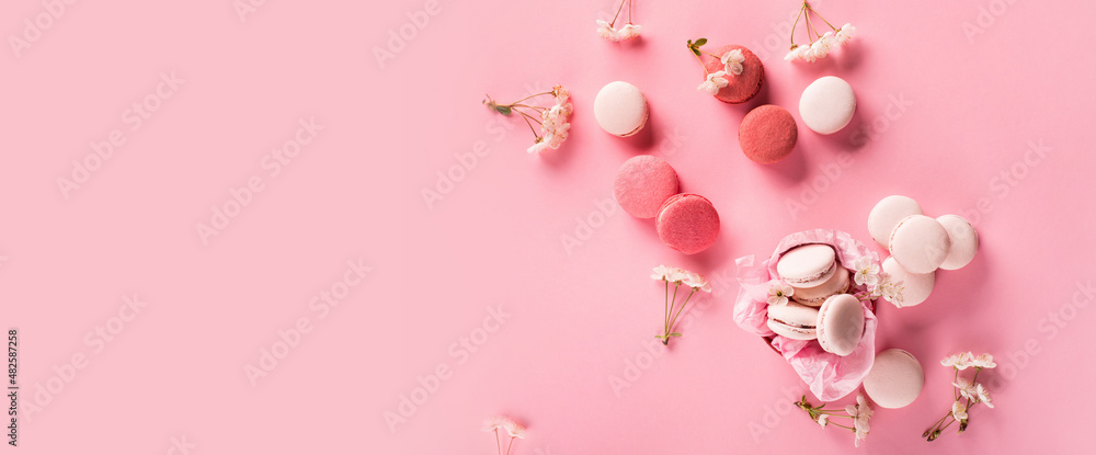 Rose sweet cookies macaroons in gift box and Cherry blossoms on pink background.
