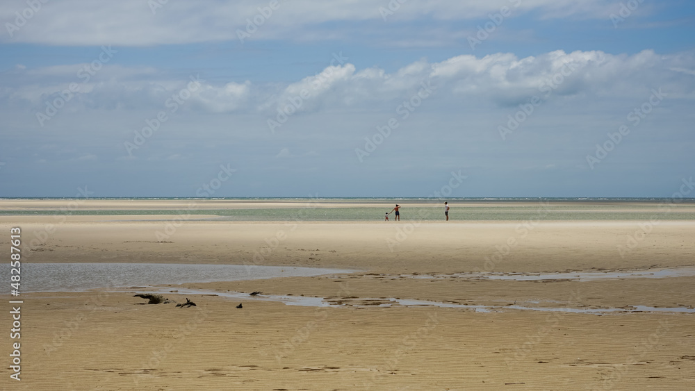 Family on a vast beach with overcast cloudy sky Family on a vast beach with overcast cloudy sky