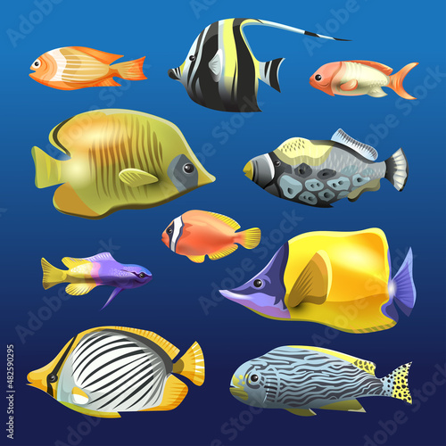 Sea beautiful fish collection isolated on white background. Flat design fish. Vector illustration, fishes. Fish collection. Aquarium modern flat fishes. Set of aquarium fishes