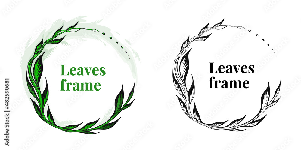frame with dark green leaves and branches frame with dark green leaves and branches
