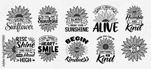 Set of Vector with inspirational lettering with sunflower , sunflower motivational quotes, typography for t-shirt, poster, sticker and card
