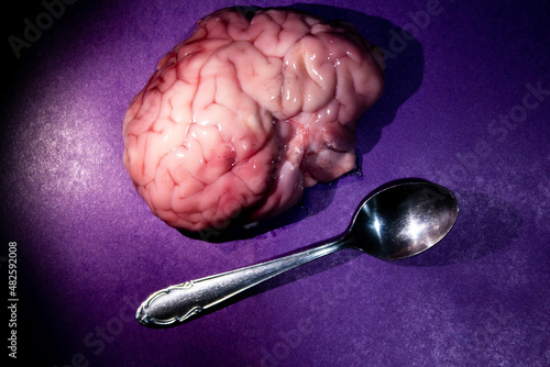 Raw bloody brain lies on a dark purple background next to a teaspoon. Eat out the brain, take out the brains, the relationship of a woman and a man. High quality photo © Dubnytskaya Photo