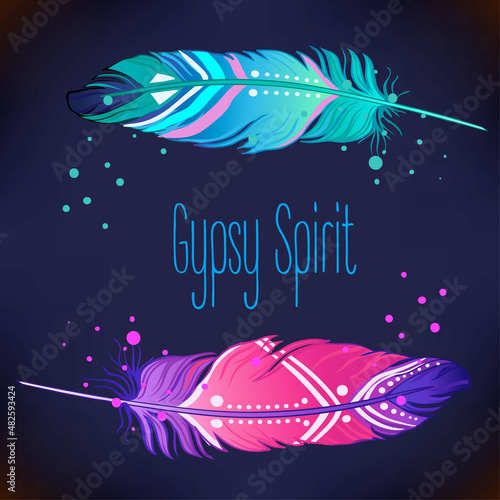 Hand drawn vector painted bird feathers isolated on white background. Colorfu...