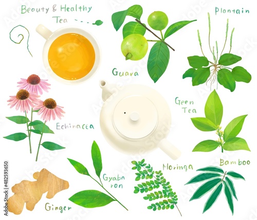 リラックスと健康と美容のための植物の葉の健康茶とティーカップのセットイラスト素材
