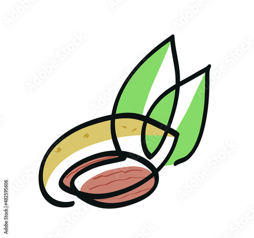 One line drawing of almond.
One continuous line drawing of almond with leaves.