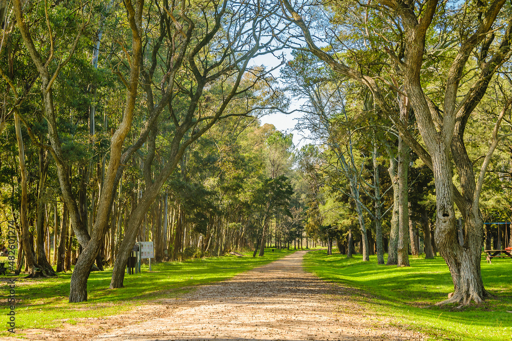 Fototapeta premium Del Palacio Grooto, Flores, Uruguay