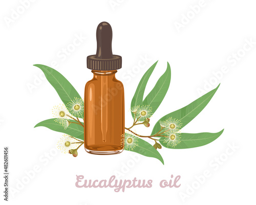 Eucalyptus essential oil. Amber glass dropper bottle and Eucalyptus leaf and flowers isolated on white background. Vector illustration in cartoon flat style.