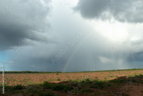 Chuva caindo sobre vegetaçao de eucalipto. Big rain cloud with beautiful rainbow in the middle of eucalyptus plantation