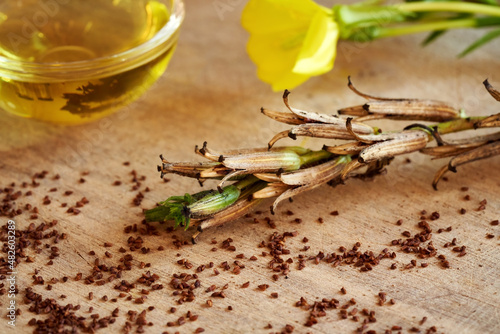 Evening primrose pods, seeds and flowers with evening primrose oil in the background