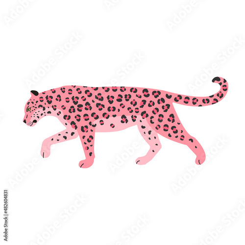 Vector flat pink leopard isolated on white background