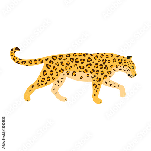 Fototapeta Naklejka Na Ścianę i Meble -  Vector flat leopard isolated on white background