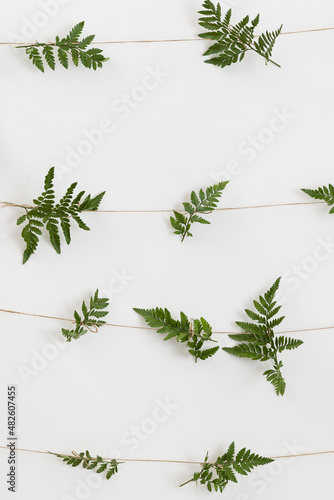 Fern branches hanging on ropes. Ideas and decor for the holiday