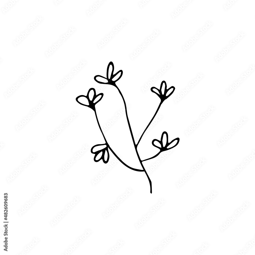 Naklejka premium Hand drawn doodle floral element, abstract plant for decoration, isolated vector illustration