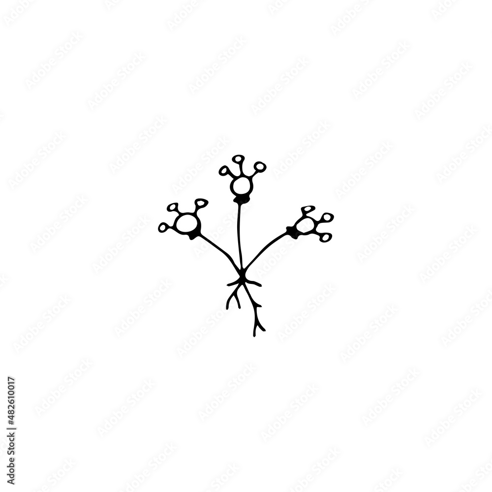 Hand drawn doodle floral element, abstract plant for decoration, isolated vector illustration Hand drawn doodle floral element, abstract plant for decoration, isolated vector illustration