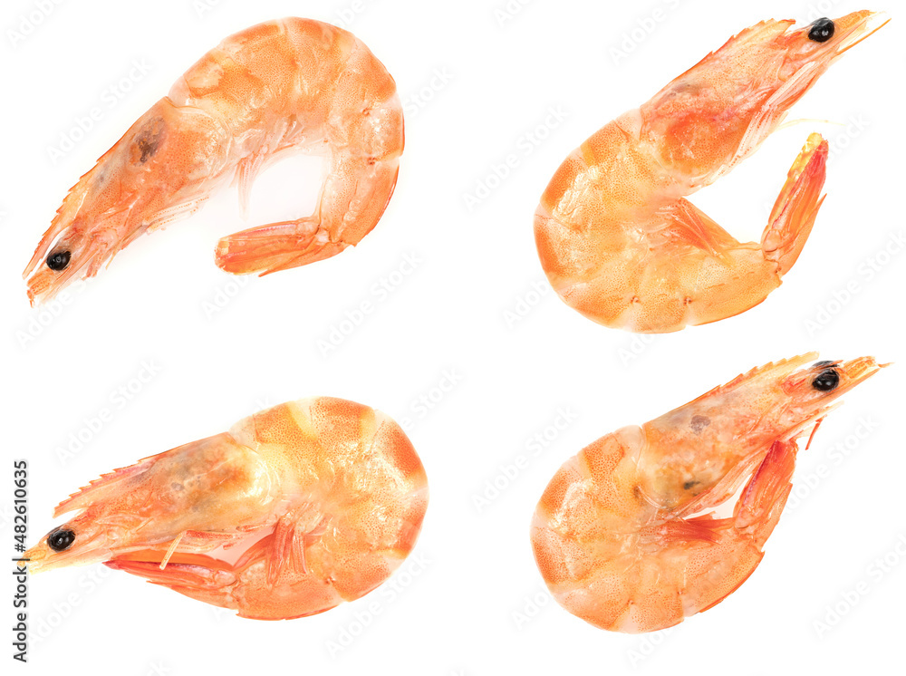 Unpeeled fresh shrimp isolated on a white background. close-up