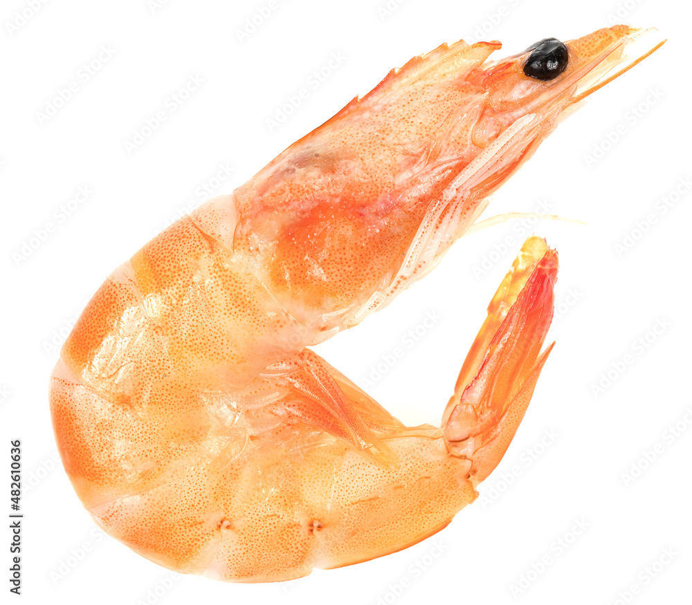 Unpeeled fresh shrimp isolated on a white background. close-up Unpeeled fresh shrimp isolated on a white background. close-up