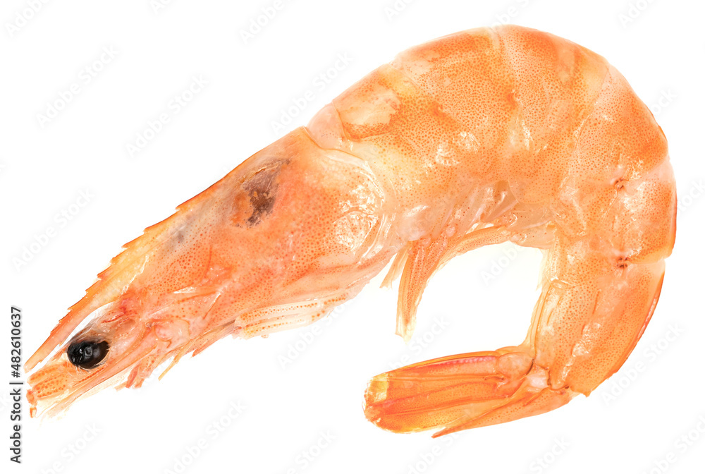 Unpeeled fresh shrimp isolated on a white background. close-up Unpeeled fresh shrimp isolated on a white background. close-up