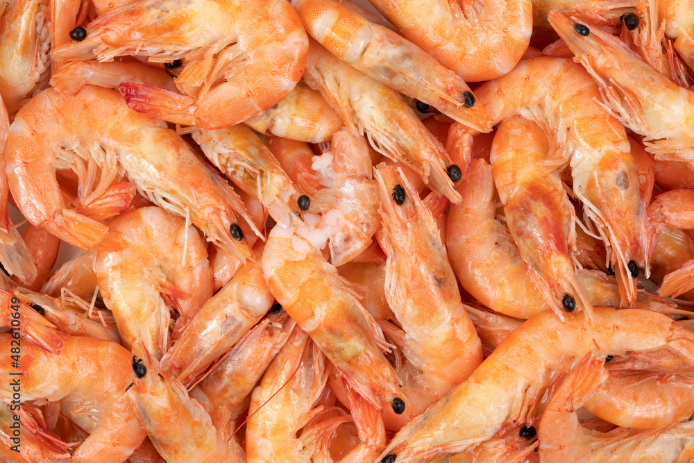 Unpeeled fresh shrimp on a white background. Unpeeled fresh shrimp on a white background.