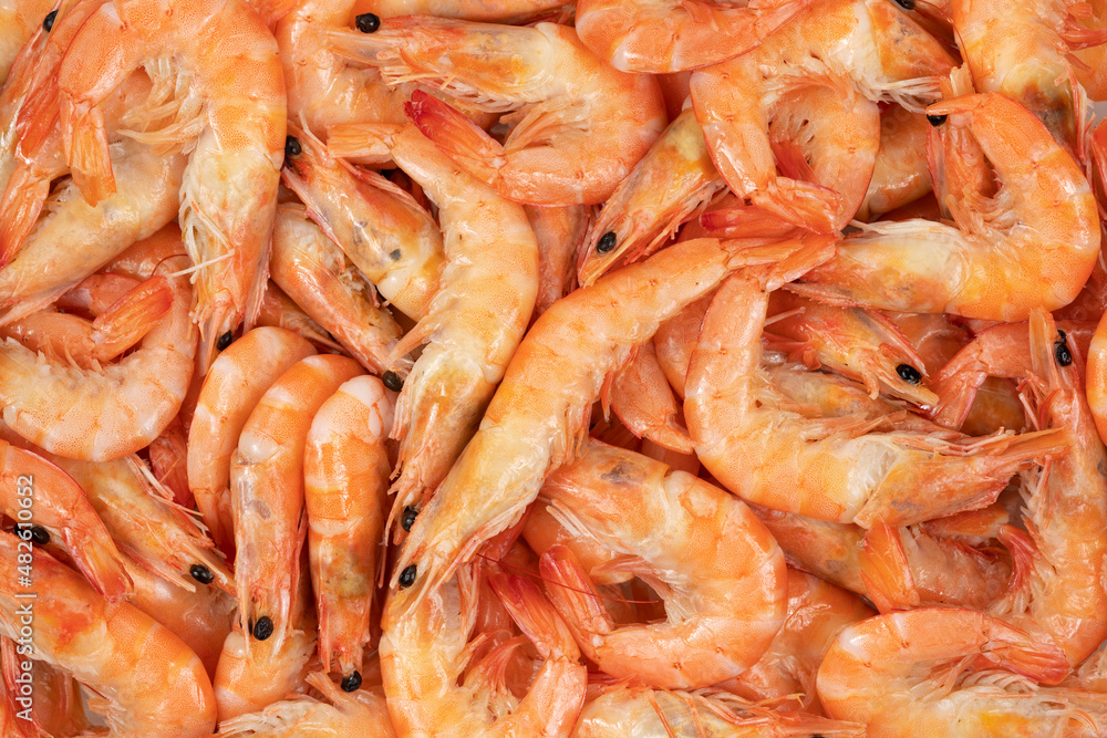 Unpeeled fresh shrimp on a white background.
