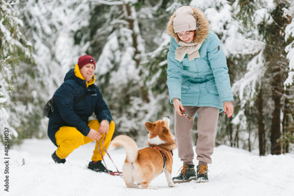 Well dressed happy girl and man with Corgi dog outdoors in winter. Pets, people and season concept. Cheerful couple having fun with cute dog in snowy park