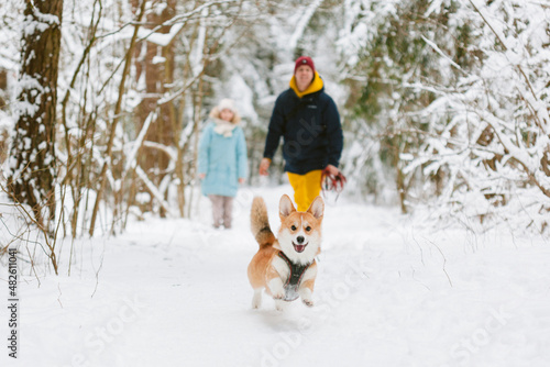 Well dressed happy girl and man with Corgi dog outdoors in winter. Pets, people and season concept. Cheerful couple having fun with cute dog in snowy park