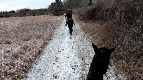 Winter Trail riding, Maybury State Park, Michigan, USA photo