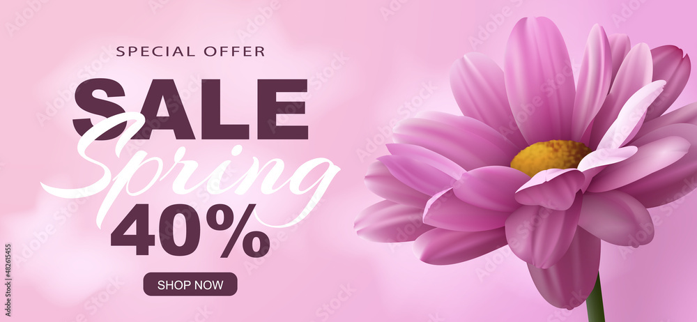 Special offer Spring sale banner with realistic pink chrysanthemum flower on a pink background and advertising discount text decoration. Vector illustration. - obrazy, fototapety, plakaty 