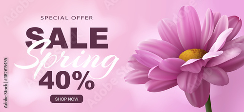 Special offer Spring sale banner with realistic pink chrysanthemum flower on a pink background and advertising discount text decoration. Vector illustration.