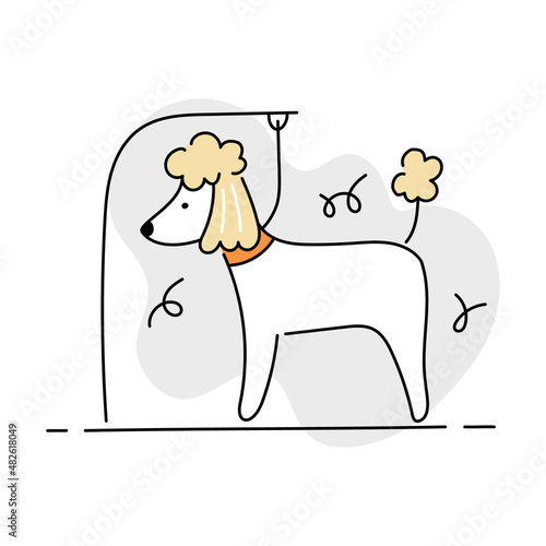 Dog poodle on grooming table. Pet grooming salon icon design. Doodle line style vector illustration.