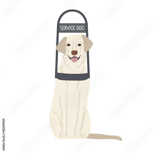 Service Dog. Seeing Eye dog. Guide Dog. Labrador Retriever. Thoroughbred animal isolated on white background. Animal is sitting. Light-colored short-haired dog. Flat vector illustration