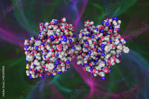 Space-filling molecular model of human gastric lipase, an acidic lipase secreted by gastric chief cells in the gastric fundus mucosa. Rendering based on protein data bank. 3d illustration
