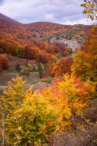 Autumn seasonal landscape with colorful trees and fogliage