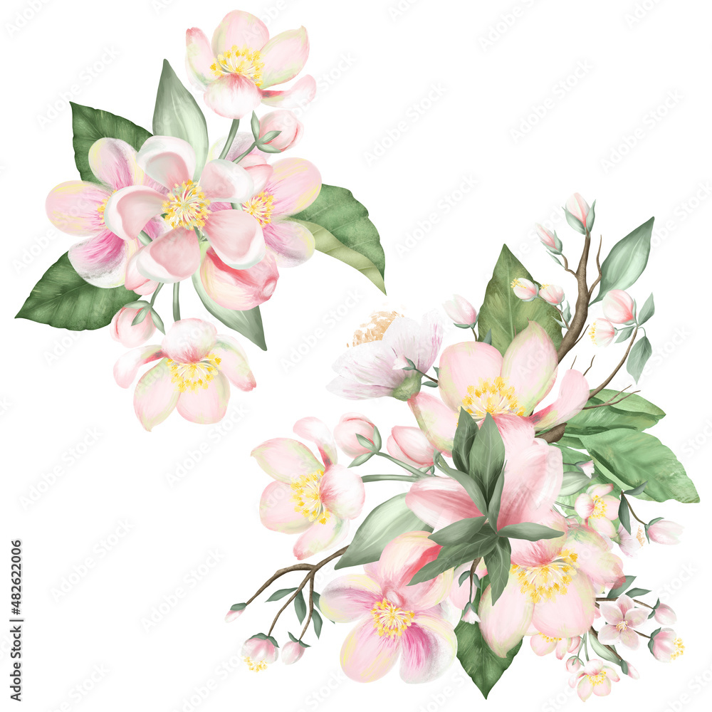 Set of blooming apple tree bouquets, hand drawn isolated illustration on white background Set of blooming apple tree bouquets, hand drawn isolated illustration on white background