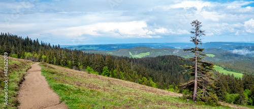 Wandern im Hochschwarzwald auf dem Feldberg photo