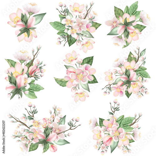 Fototapeta Naklejka Na Ścianę i Meble -  Set of spring blooming apple tree flower bouquets, hand drawn isolated illustration on white background