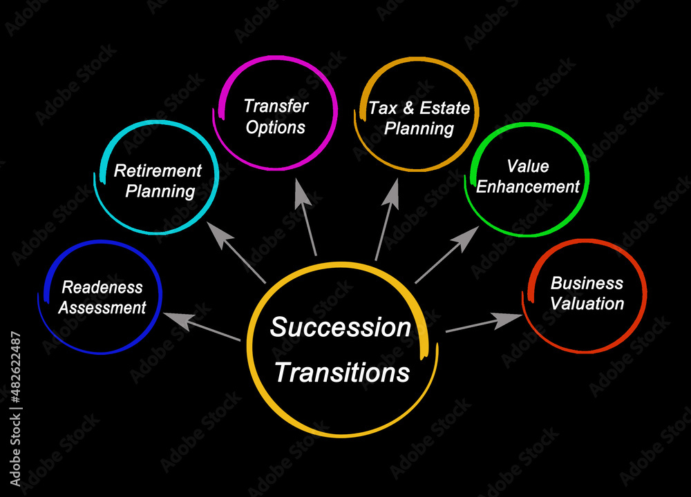 Five Components of Succession Transitions