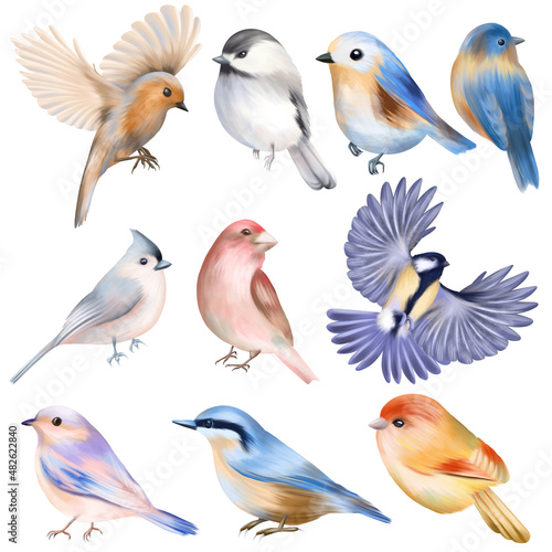 Set of hand drawn cute birds, isolated illustration on white background