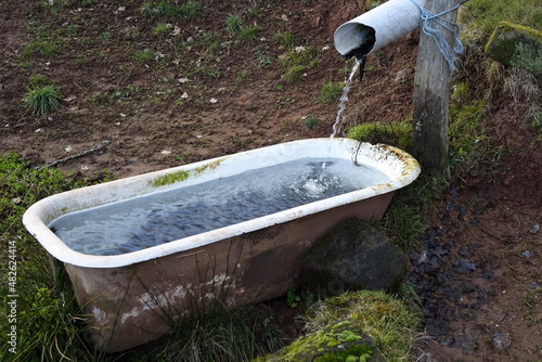 Old bathtub on a meadow serving as a cattle watering tank full of cold and fresh water, Vosges mountains (horizontal), Lembach, Bas Rhin, Grand Est, France