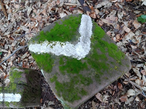 Top view on German French boundary stone with 90 degrees border turn (horizontal), Wingen, Bas Rhin, Grand Est, France photo