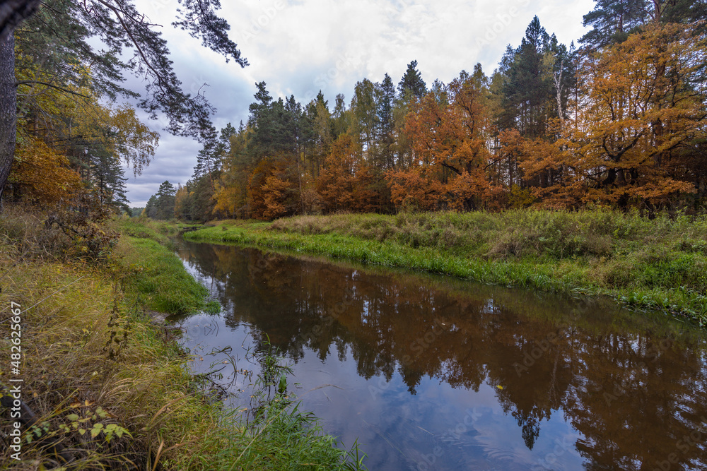 Bright autumn foliage on trees in yellow, red, orange and green colors. Cloudy weather in the forest Idyllic autumn landscape. Clean nature, ecology, seasons, environmental protection. Bright autumn foliage on trees in yellow, red, orange and green colors. Cloudy weather in the forest Idyllic autumn landscape. Clean nature, ecology, seasons, environmental protection.