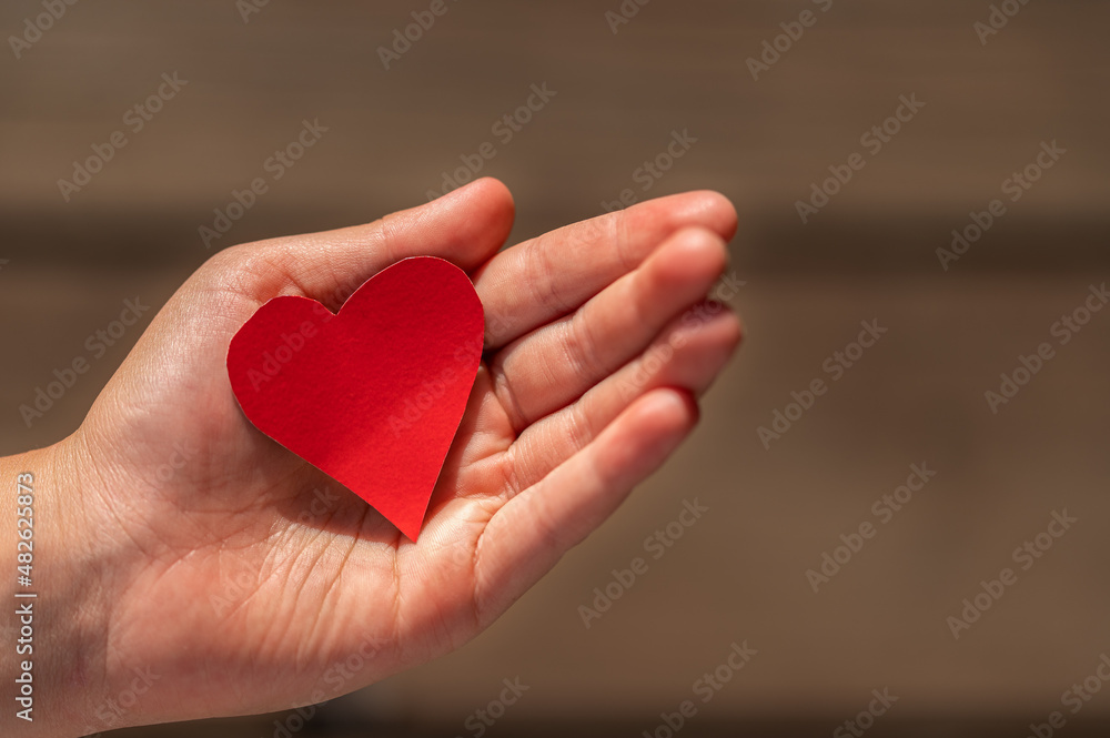 child's hand holding a red heart child's hand holding a red heart