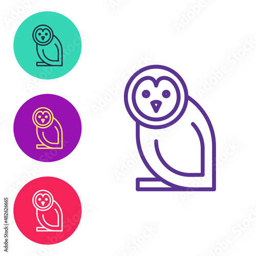 Set line Owl bird icon isolated on white background. Animal symbol. Set icons colorful. Vector