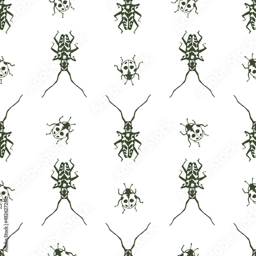 Vector seamless pattern with hand drawn beetle ladybug for print. Naturalness of nature, beautiful beetle, ecology. White and green colors.