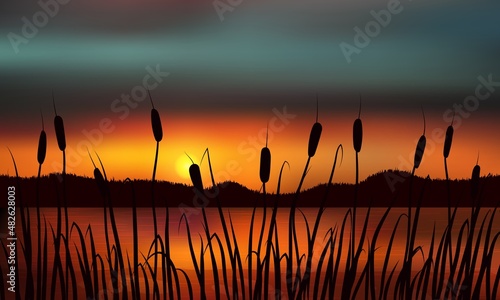 Reeds and rushes on the background of a golden sunset on the water with distant hills.