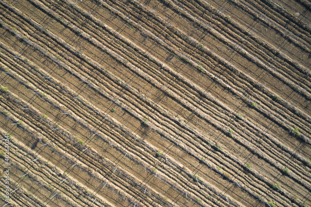 Ground surface texture drone view. Lines on the surface of the earth top view. Farmland aerial view. Field texture aerial view. Plantation texture of arable land at high altitude. Ground surface texture drone view. Lines on the surface of the earth top view. Farmland aerial view. Field texture aerial view. Plantation texture of arable land at high altitude.