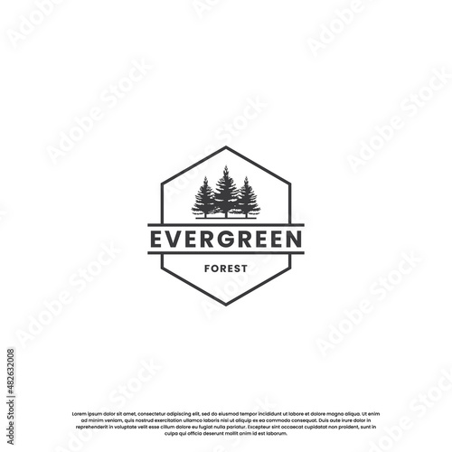 evergreen logo design vintage. pine tree logo in vintage badge.
